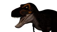 Tyrannosaurus rex