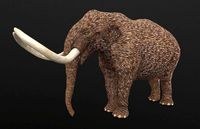 Mammut americanum