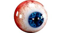 Human Eye