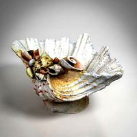 Shell Bowl