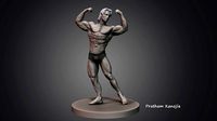 Arnold Action Figure | 3D