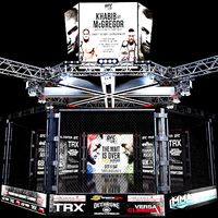 UFC Fighting Stage