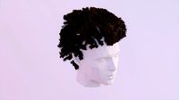 Curly Afro - High Poly