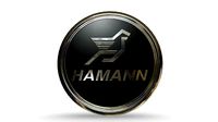 hamann logo