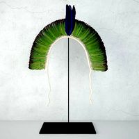 Brazilian Tribal Feather Headdress