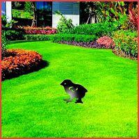 Wonderful Artificial Chick Home and Garden Outdoor Lawn Decor