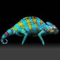 Chameleon colored