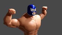 Masked Fighter - Lucha Libre - Wrestling