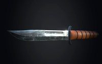 Combat KaBar Knife
