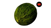 Santa Claus Melon - Extreme Definition Scanned