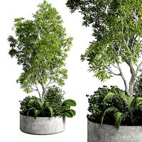 collection outdoor plant 27 garden pot concrete vase
