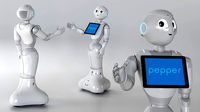 Information Display Pepper Robot