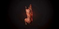 Roast Lamb