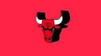 Chicago Bulls Team Logo