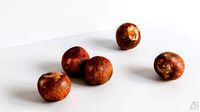 Avocado Seed