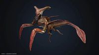Crustacean creature