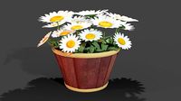 Daisy Planter