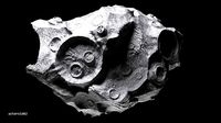 Asteroid 02 Saundrinha XXI