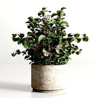 bouquet 04 vase marble
