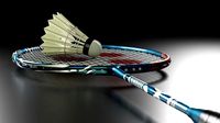 Badminton Racket and Shuttlecock - High Polly