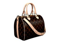 Louis Vuitton Speedy Bandouliere 25 Monogram