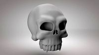 Skull