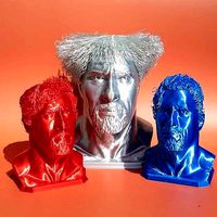 Hairy Dwayne Johnson - No support | 3D