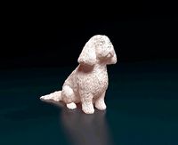 Shih Tzu dog | 3D
