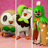 pokemon rowlet evolution pack | 3D