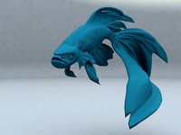 betta fish | 3D
