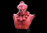 Akuma Bust-Street Fighter | 3D