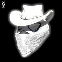 PHANTOM RIDER CAT - HELMET | 3D
