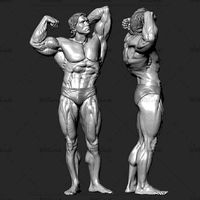 Arnold Schwarzenegger  | 3D
