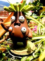 Frailejon Ernesto Perez | 3D