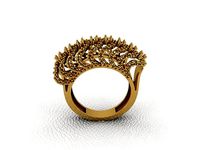 Ring 257 | 3D