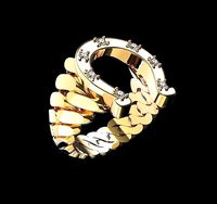 Horseshoe ring | 3D
