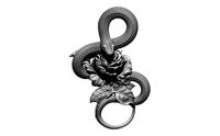 Highdetailed pendant with snake Poisonous Rose | 3D