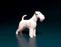 Welsh terrier | 3D