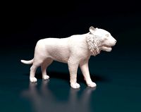 Tiger | 3D