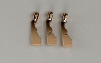 US State Flag Pendants - Delaware | 3D
