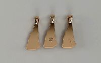 US State Flag Pendants - New Hampshire | 3D