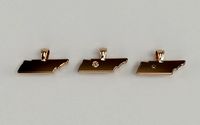 US State Flag Pendants - Tennessee | 3D