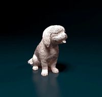 Shih Tzu   | 3D