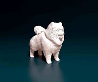 Pomeranian dog | 3D