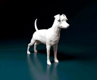 Miniature Pinscher | 3D