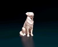 Labrador x Collie | 3D