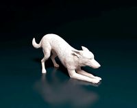 Kelpie dog | 3D