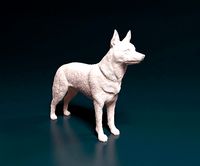 Kelpie | 3D