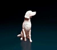 Irish red setter | 3D
