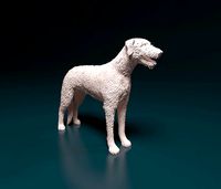 Irish Wolfhound | 3D